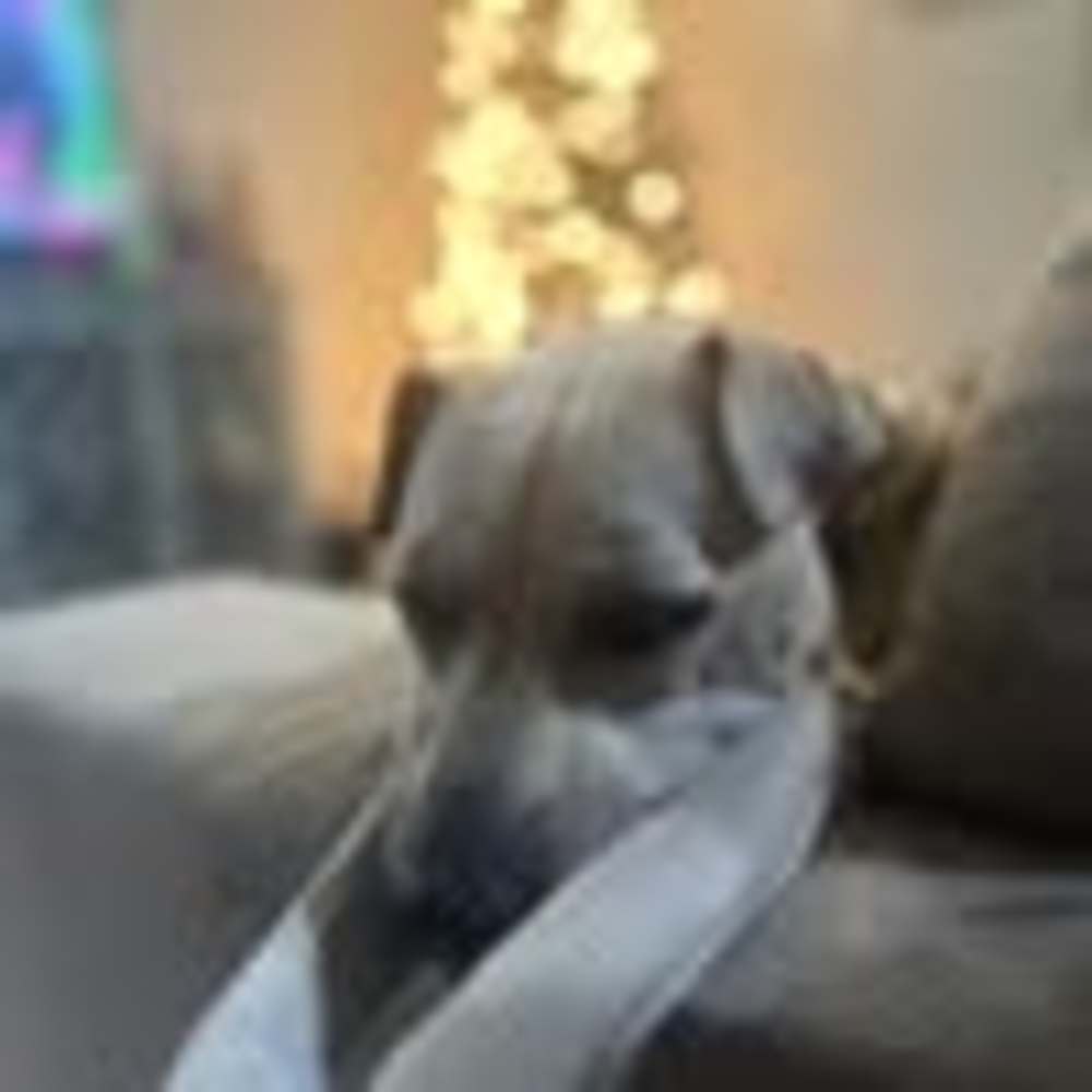 Meet your Posher, Merry